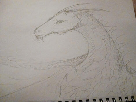 Random Dragon (Drawing Practice)